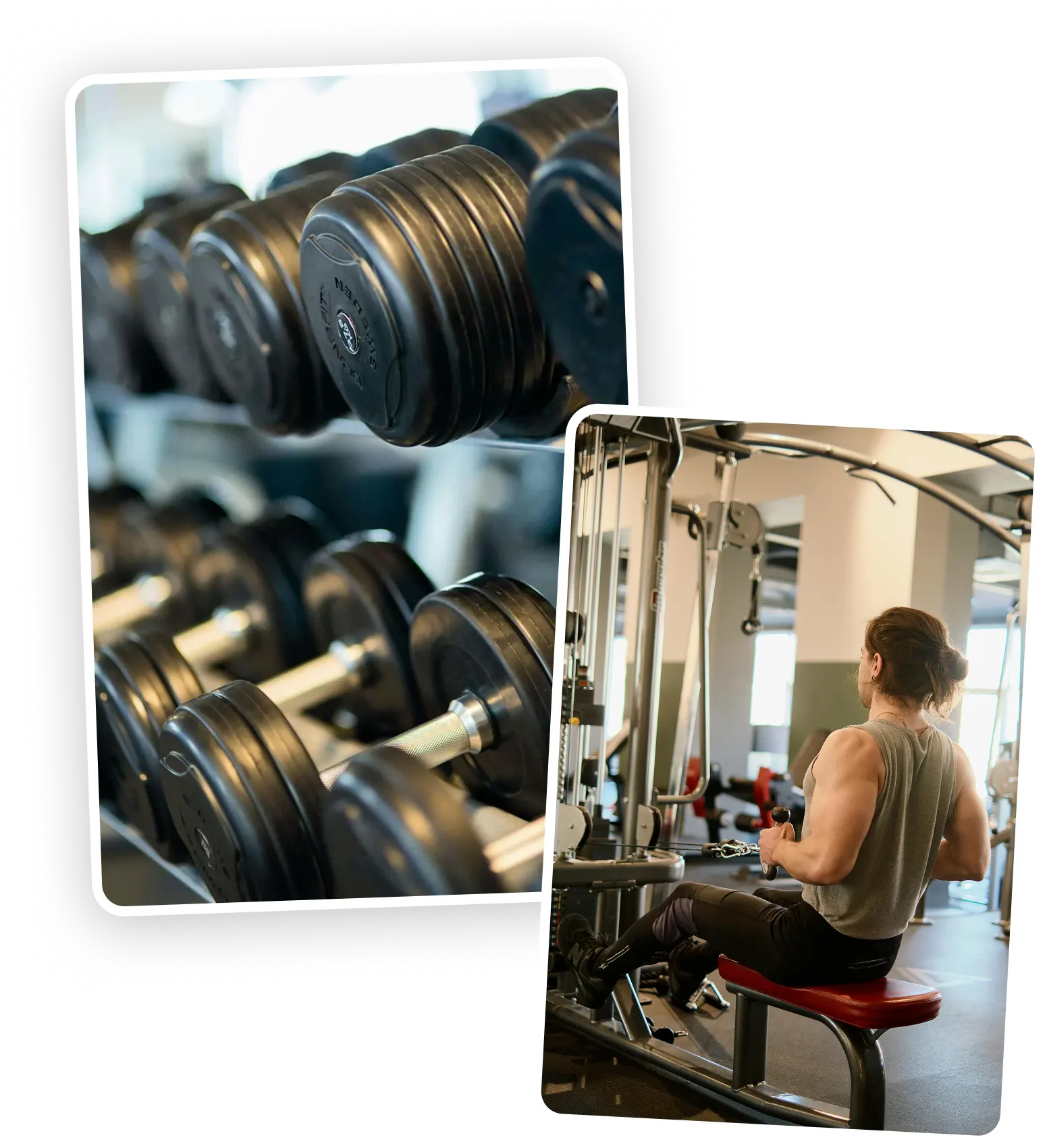 Servizio di personal training a Vicenza